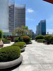 The Central (D1), Office #539753011
